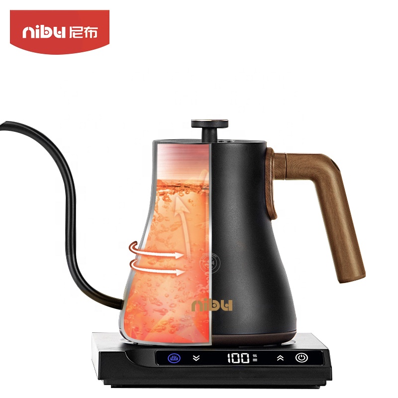 Stainless Steel Electric Kettl - đánh giá và giá Electric Kettle Temperature Control